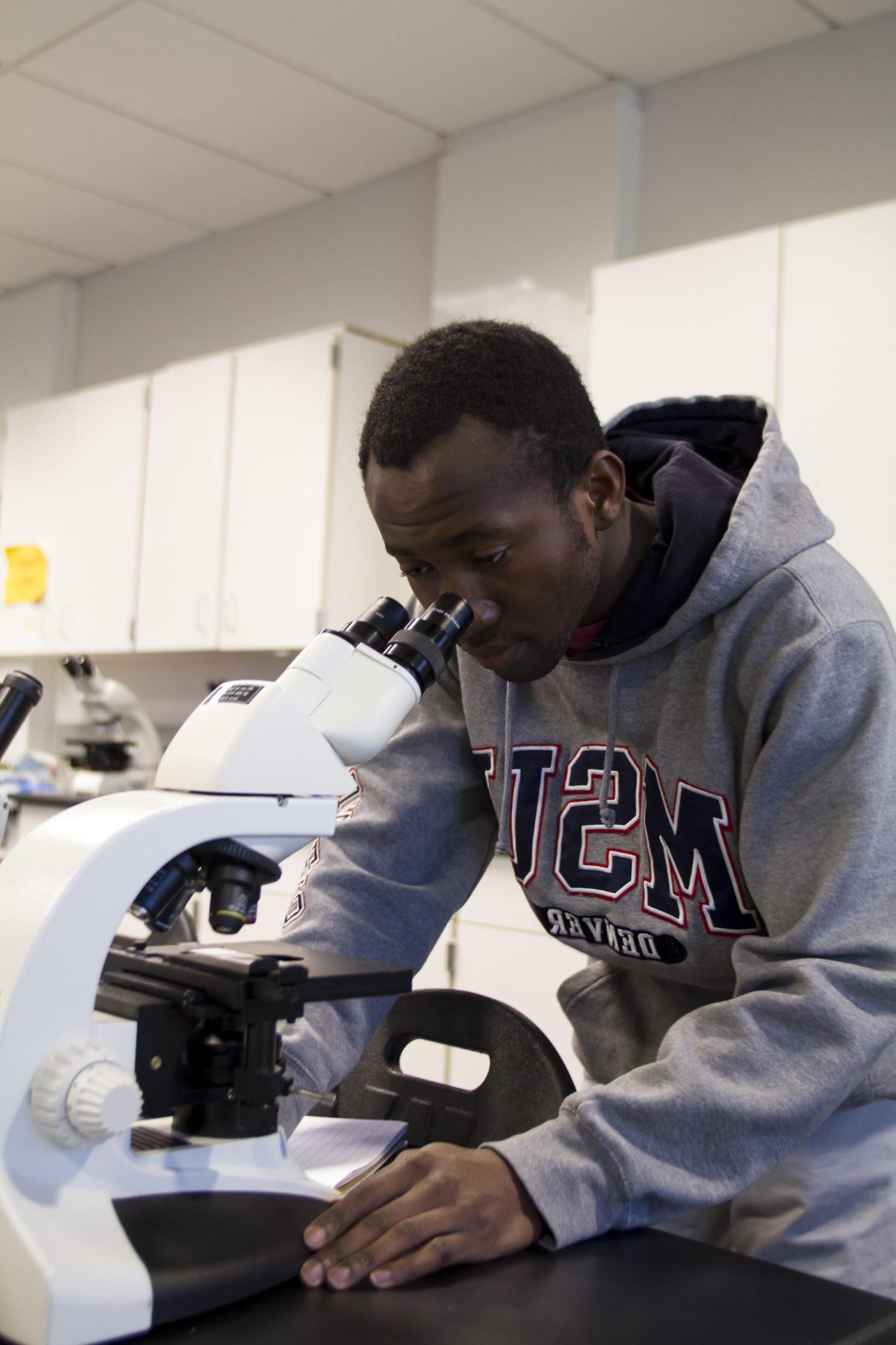 密歇根州立大学丹佛分校的学生正在用显微镜观察