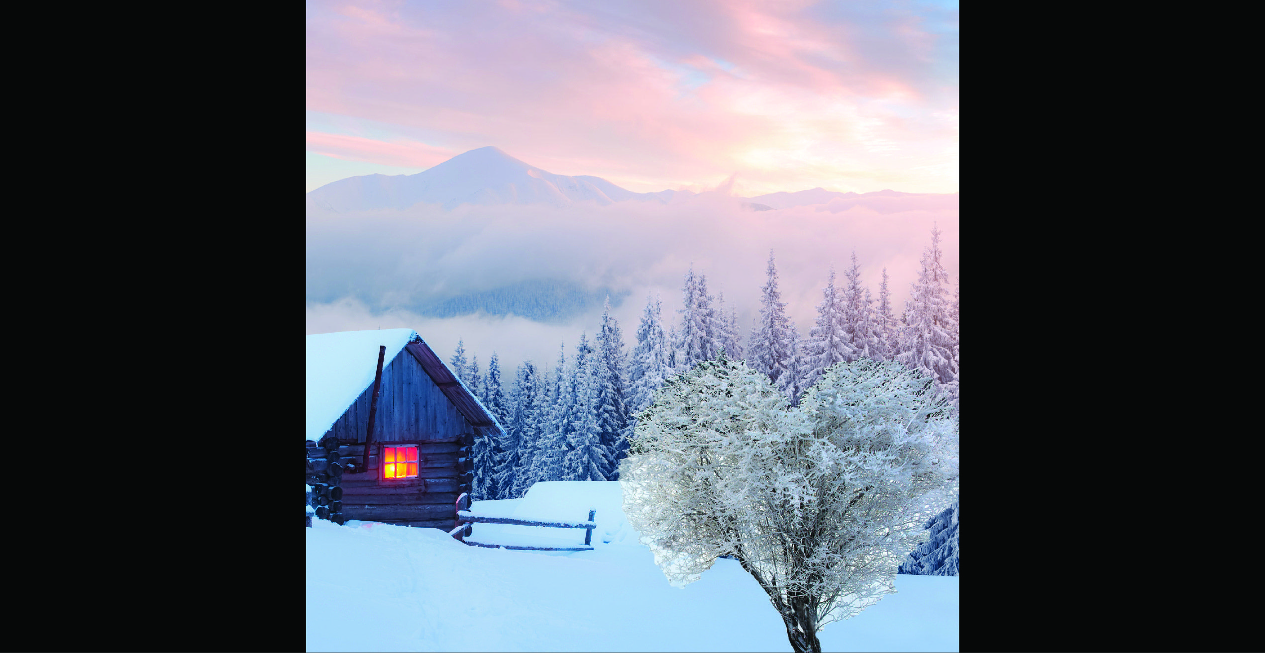 冬季_Website_Image